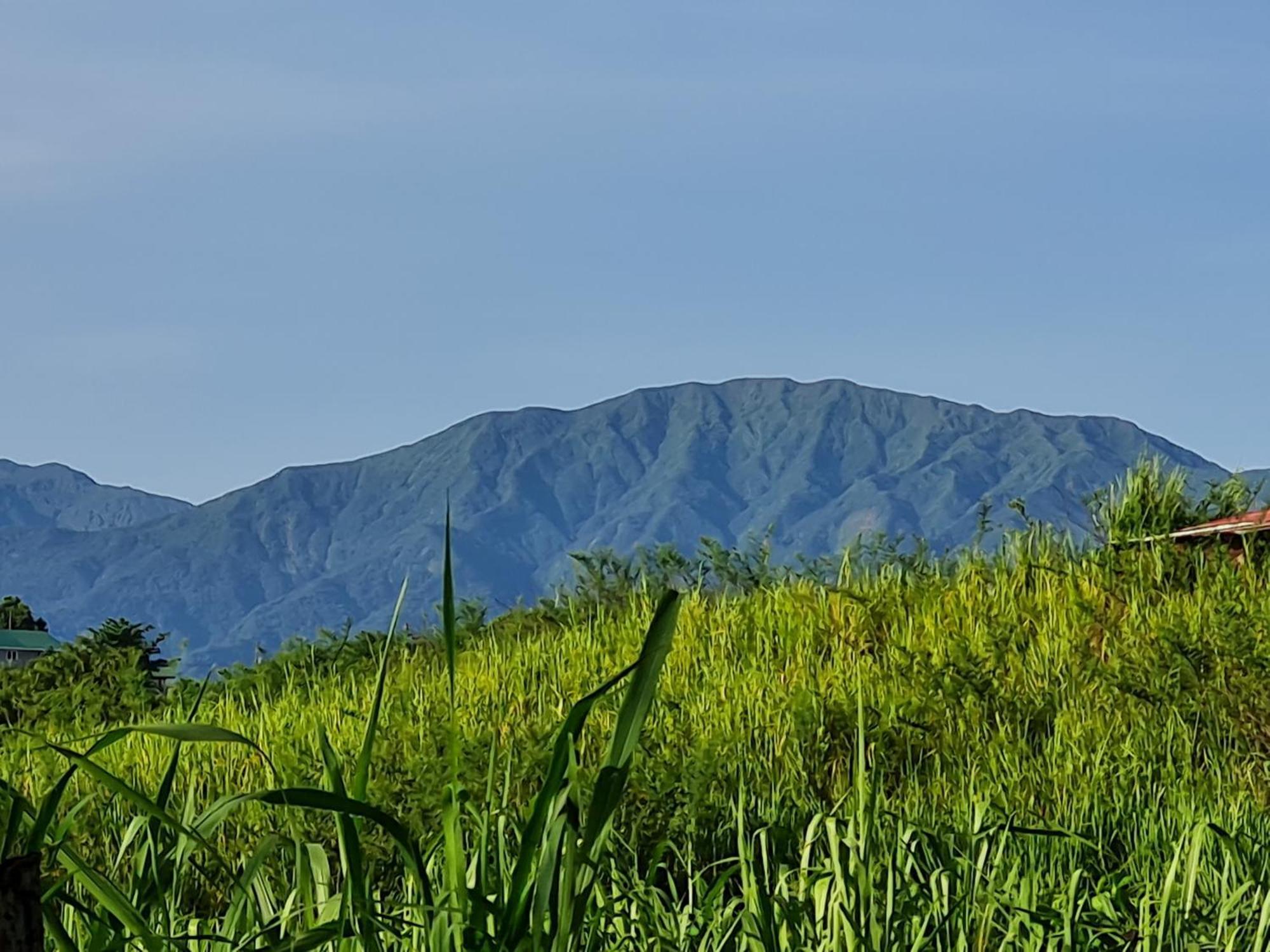 La Kaz Nature Bien-Etre プティ・ブール エクステリア 写真